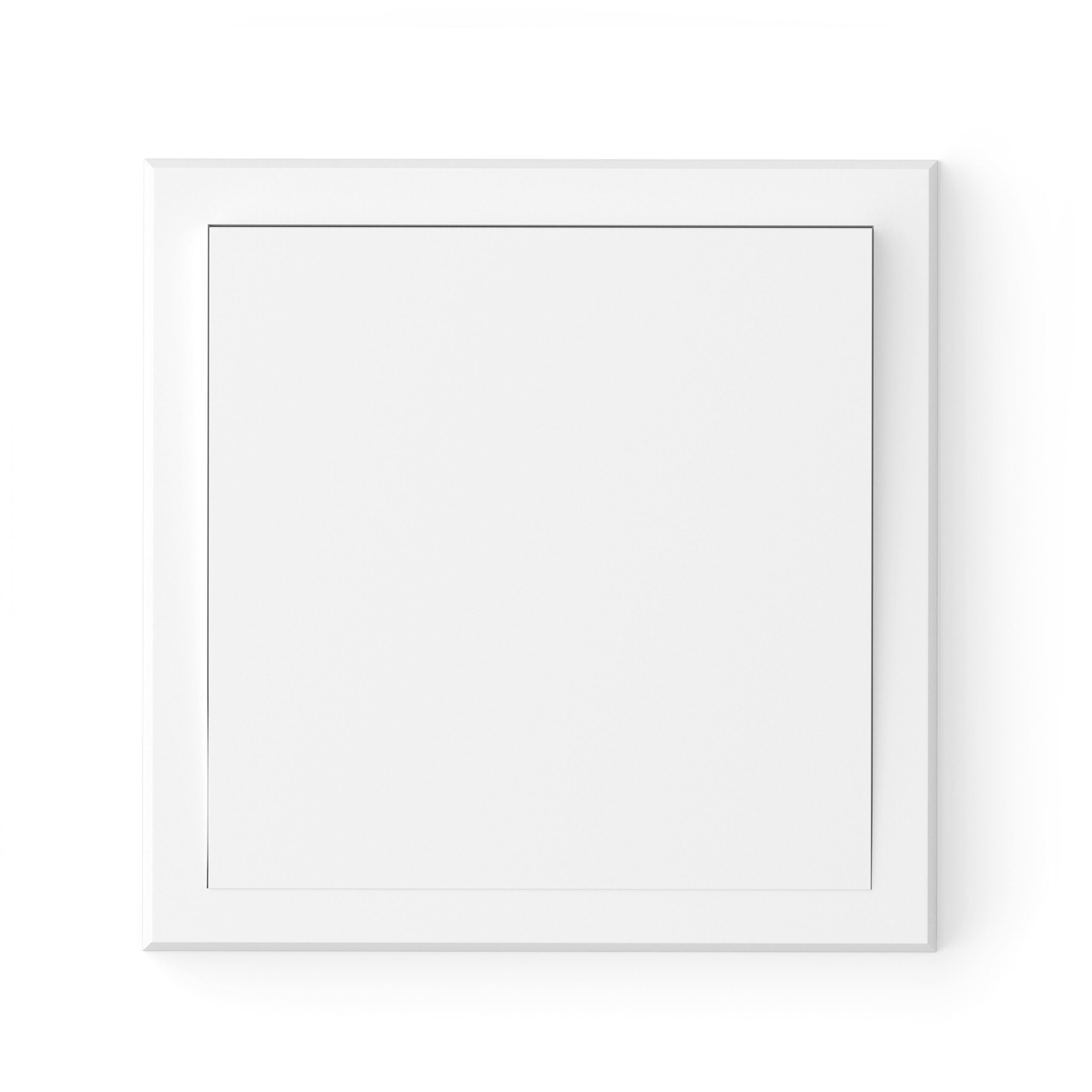 Adria 1f. krossrofi hvítur